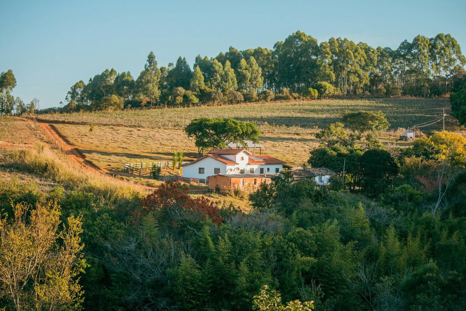 A charming farmhouse in a serene rural setting surrounded by lush greenery under a clear sky.