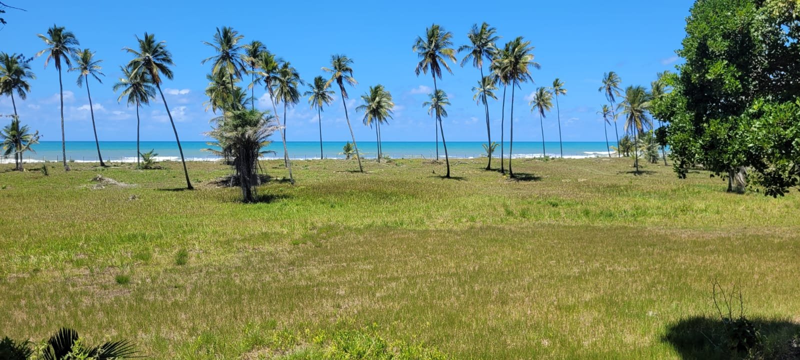Fazenda beira mar, para empreendimentos, pé na areia.